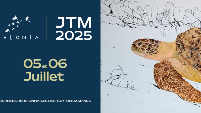 AZENDA PÉI : NOS IDÉES DE SORTIES POUR LA SEMAINE DU 30 JUIN