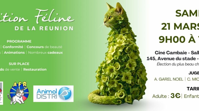 AZENDA PÉI : NOS IDÉES DE SORTIES POUR LA SEMAINE DU 16 MARS