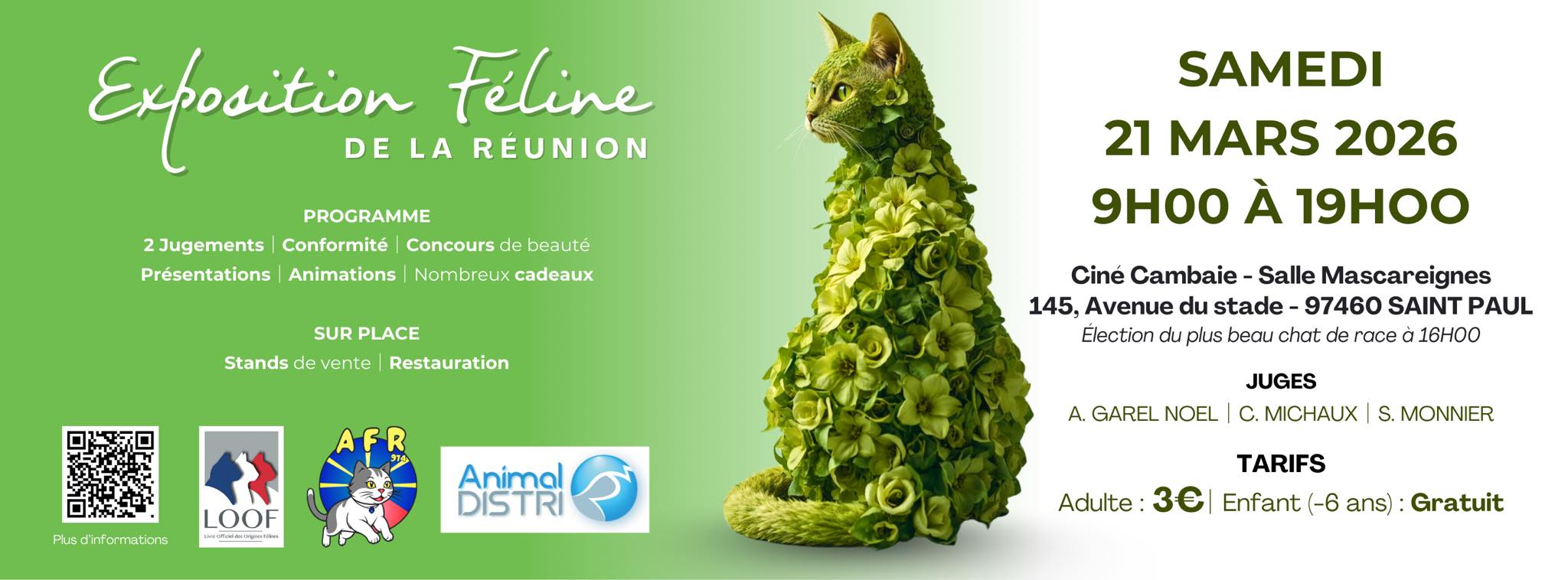 AZENDA PÉI : NOS IDÉES DE SORTIES POUR LA SEMAINE DU 16 MARS